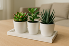 Kit 3 Suculentas Artificiais com Vasos e Bandeja Branca